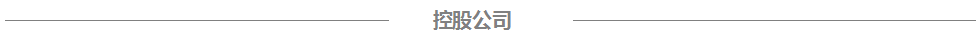 伯乐体育电气控股公司